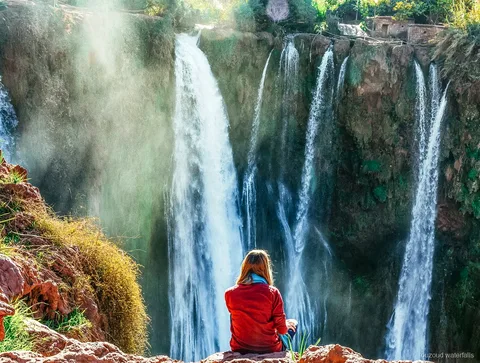 Scimmia magot selvatica avvistata sul sentiero delle Cascate di Ouzoud