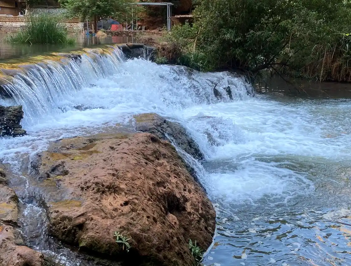 Olivenhainpfad bei der privaten Luxustour zu den Ouzoud Wasserfällen